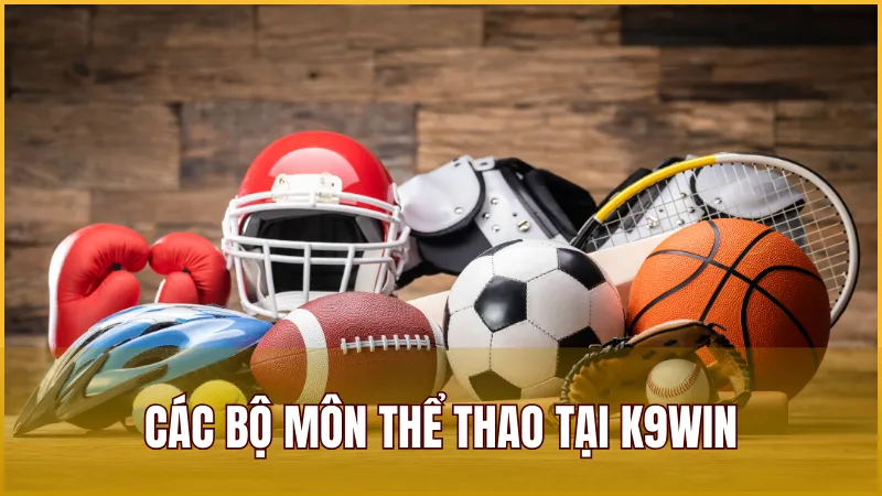 Các bộ môn thể thao được nhà cái K9WIN cung cấp