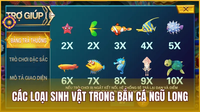 Hệ thống sinh vật biển đa dạng trong săn cá Ngũ Long