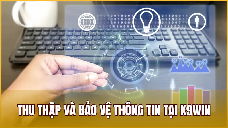 Cách K9WIN thu thập và sử dụng thông tin của thành viên tại nhà cái