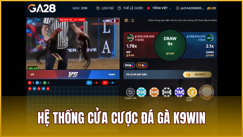 Hệ thống cửa cược phổ biến nhất trong đá gà trực tiếp K9WIN