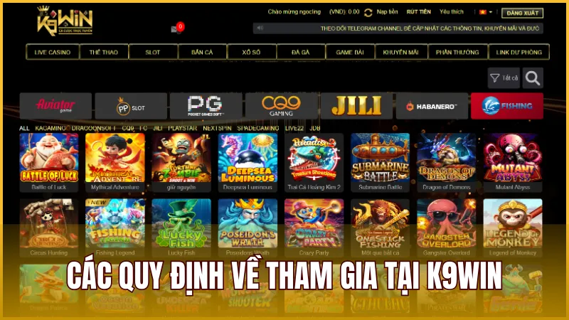 Điều Khoản Và Điều Kiện 2 Các quy định về đăng ký, giao dịch và tham gia cá cược trên K9WIN