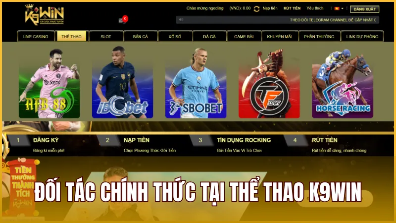 Những đối tác chính cung cấp cá cược thể thao trên nhà cái K9WIN