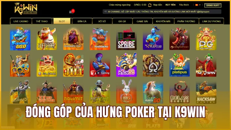 Tác Giả 2 Nguyễn Hưng đã có những đóng góp nổi bật dành cho K9WIN