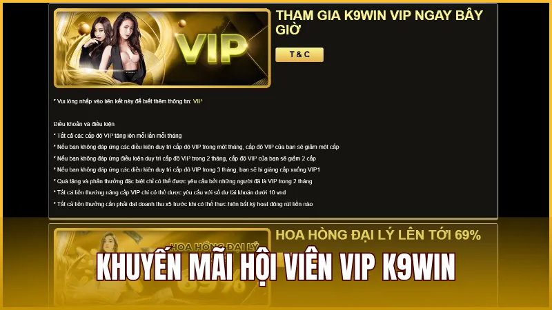 Hội viên VIP và trung thành tại K9WIN sẽ nhận được nhiều khuyến mãi đặc biệt
