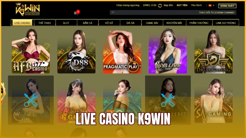 K9WIN 31 Live Casino K9WIN là lựa chọn hàng đầu tại nhà cái