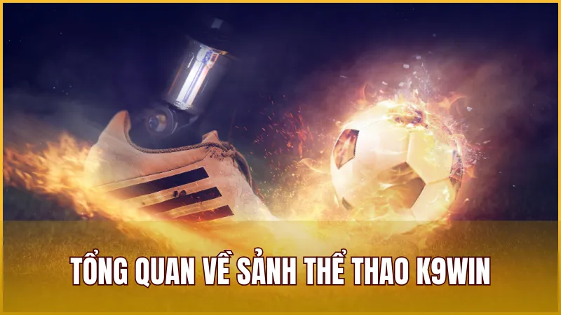 Tổng quan về sảnh Thể Thao K9WIN – Cược trực tuyến chuyên nghiệp