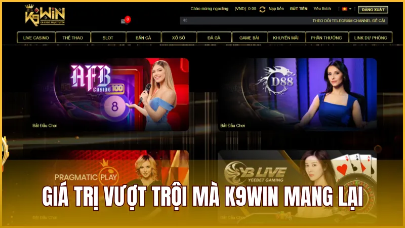 Những giá trị cốt lõi mà K9WIN xây dựng và mang đến cho thành viên