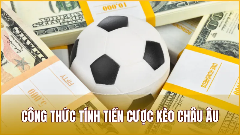 Chia sẻ công thức tính tiền cược Kèo Châu Âu chuẩn xác cho thành viên mới
