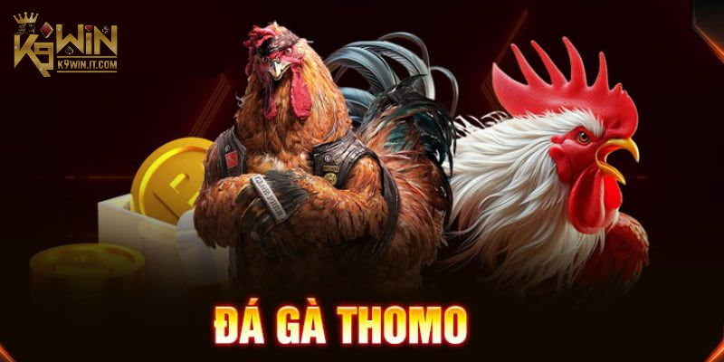 Đá Gà Thomo là gì?