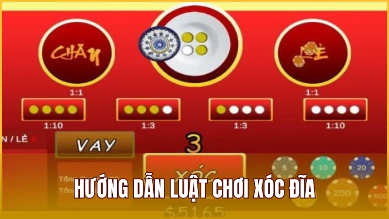 Hướng dẫn cách chơi đầy đủ và chi tiết dành cho người mới tham gia