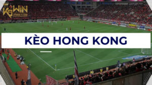 Thường xuyên cập nhật thông tin trận đấu