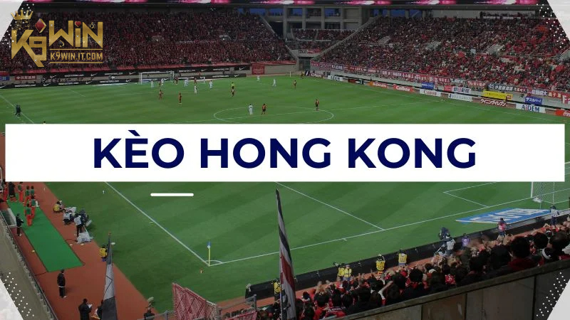 Thường xuyên cập nhật thông tin trận đấu