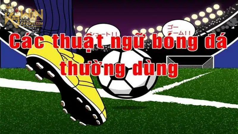 Giải thích đội kèo trên và dưới