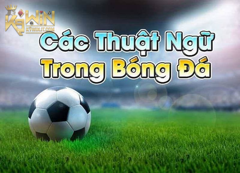 Thuật ngữ trong Kèo Châu Á
