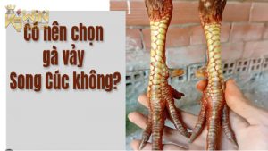 Định nghĩa Vảy Song Cúc