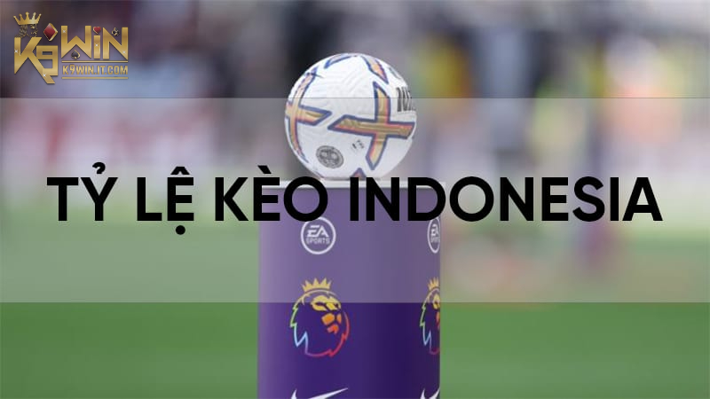 Khái quát về tỷ lệ Kèo Indonesia là gì?