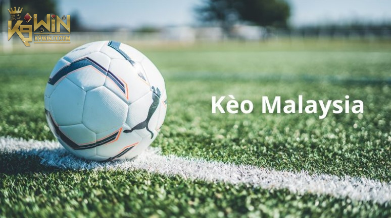 Những thuật ngữ thường thấy